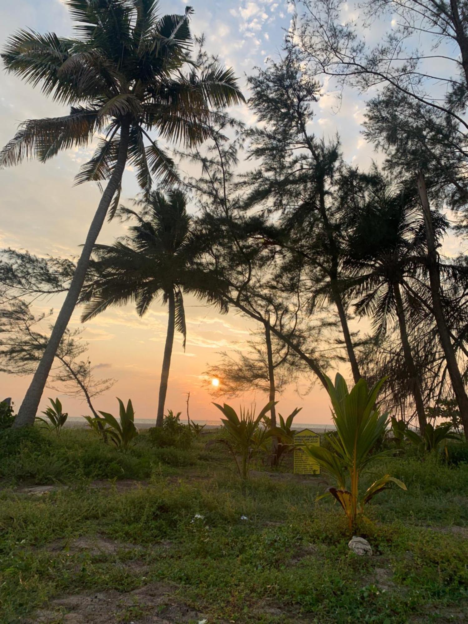 Alappuzha Shoreline Marari Beach Villa At Golden Beach Mararikulam מראה חיצוני תמונה