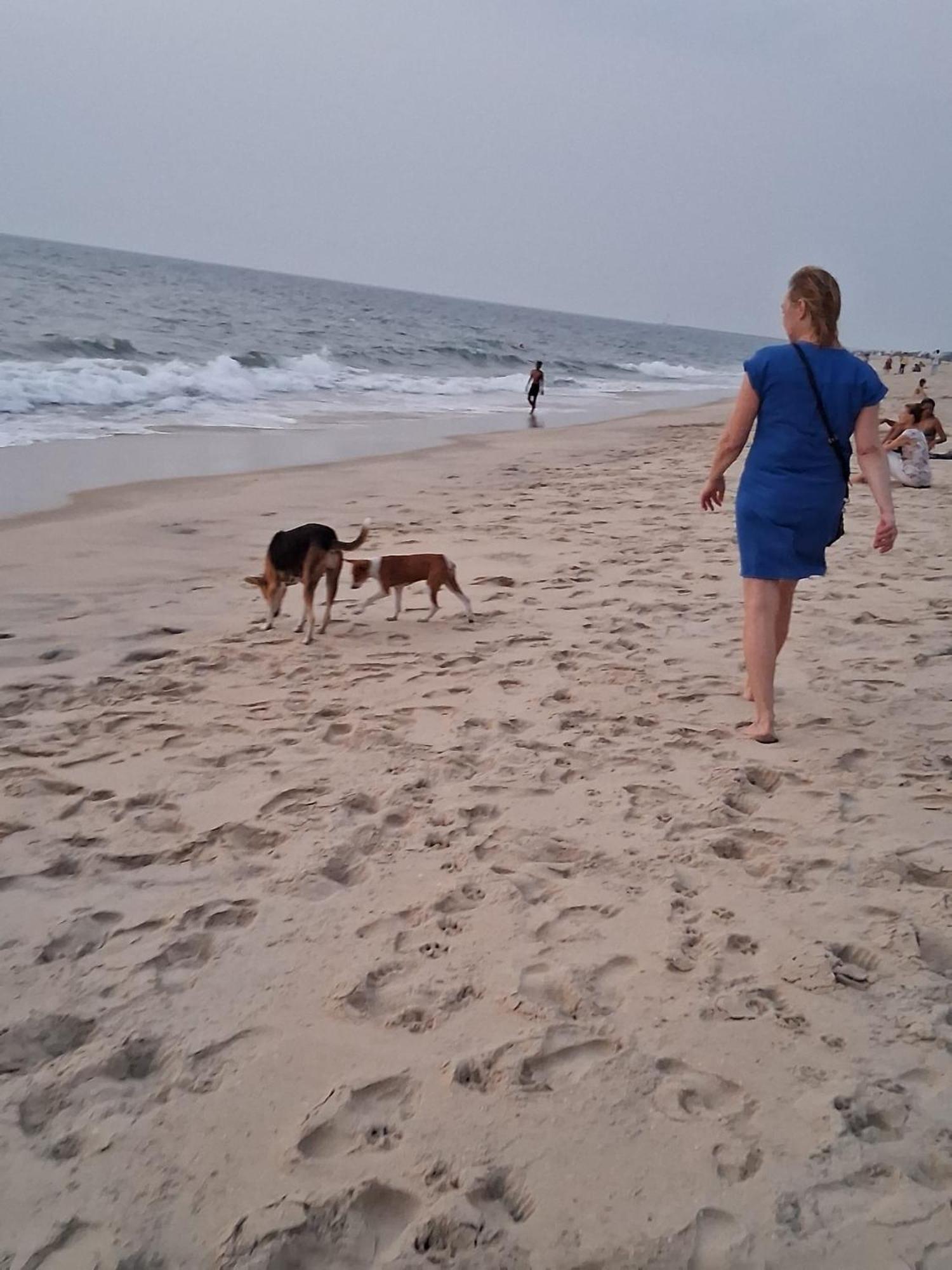 Alappuzha Shoreline Marari Beach Villa At Golden Beach Mararikulam מראה חיצוני תמונה